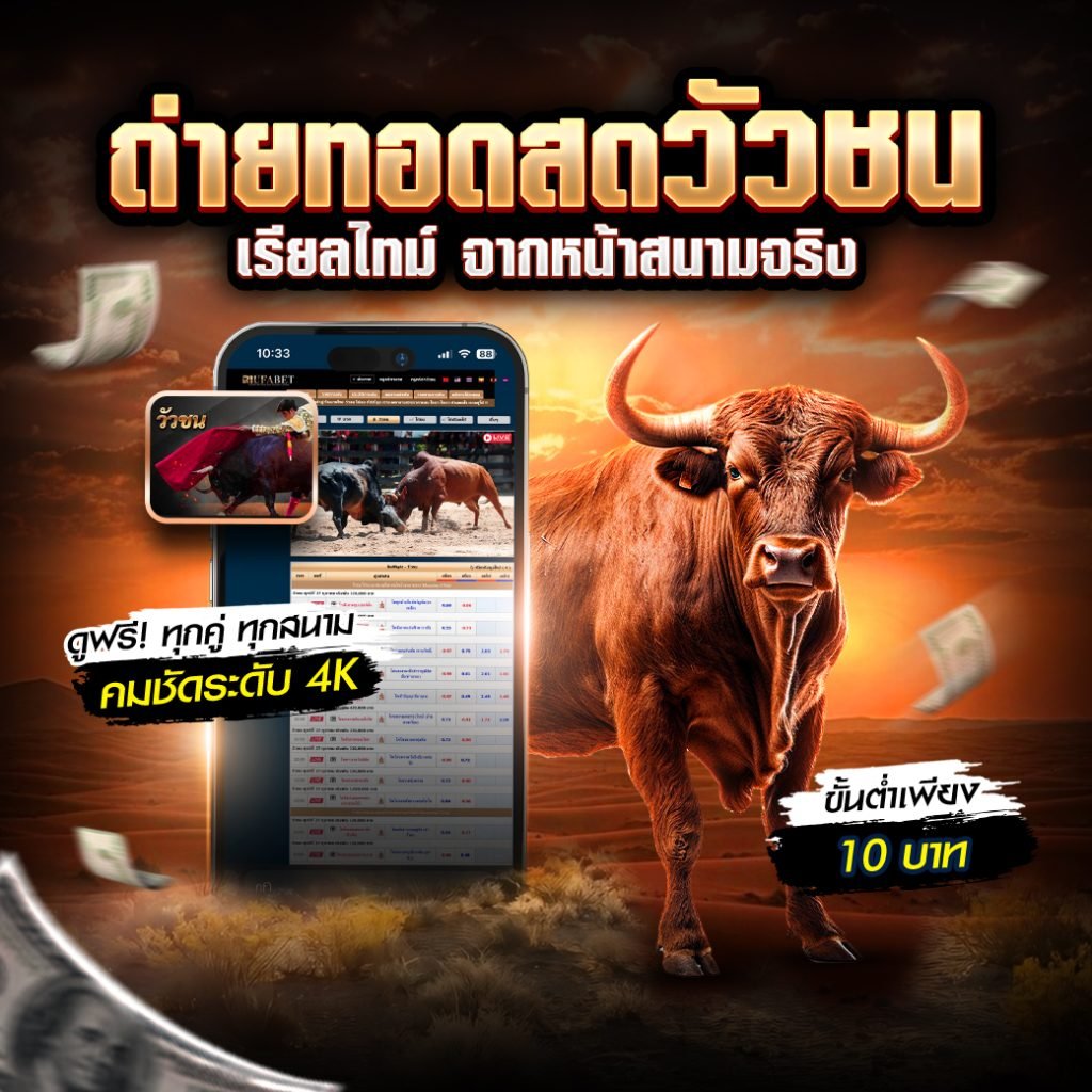 ถ่ายทอดสดวัวชน