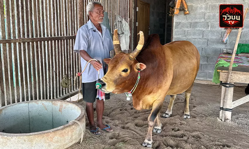 ประวัติ ลังสาดเพชรณรงค์ชัย(สุดหล่อ)